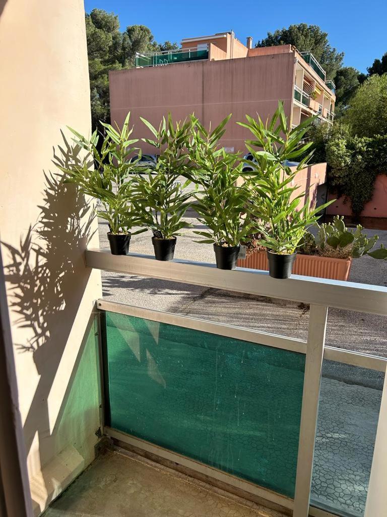 Studio Meuble Bord De Mer Bormes-les-Mimosas Exteriér fotografie